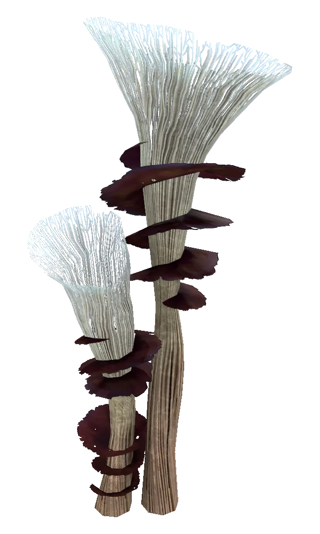 Spiral Plant in Subnautica: Below Zero